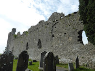 Hospital, County Limerick