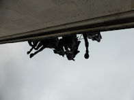 Hyde Park Corner and Wellington Arch area